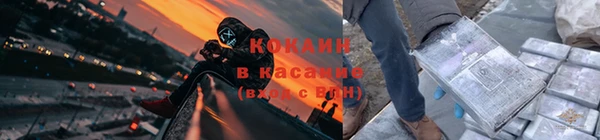 прущие грибы Зеленокумск