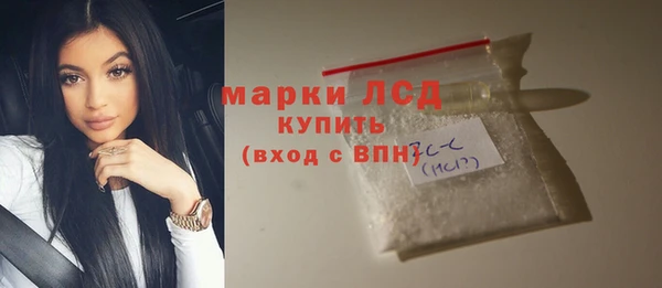 прущие грибы Зеленокумск