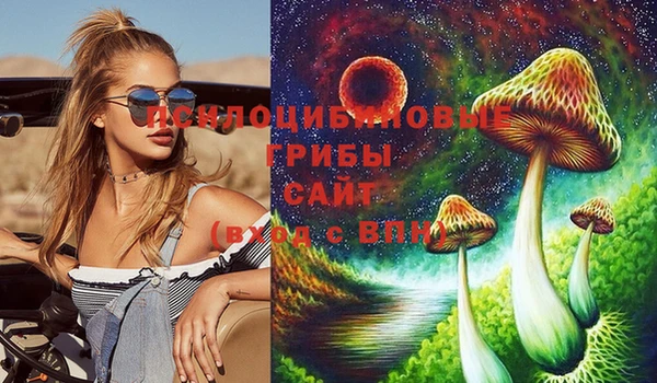 прущие грибы Зеленокумск
