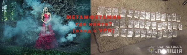 прущие грибы Зеленокумск