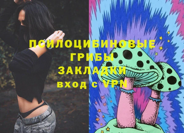 кокаин премиум Заводоуковск